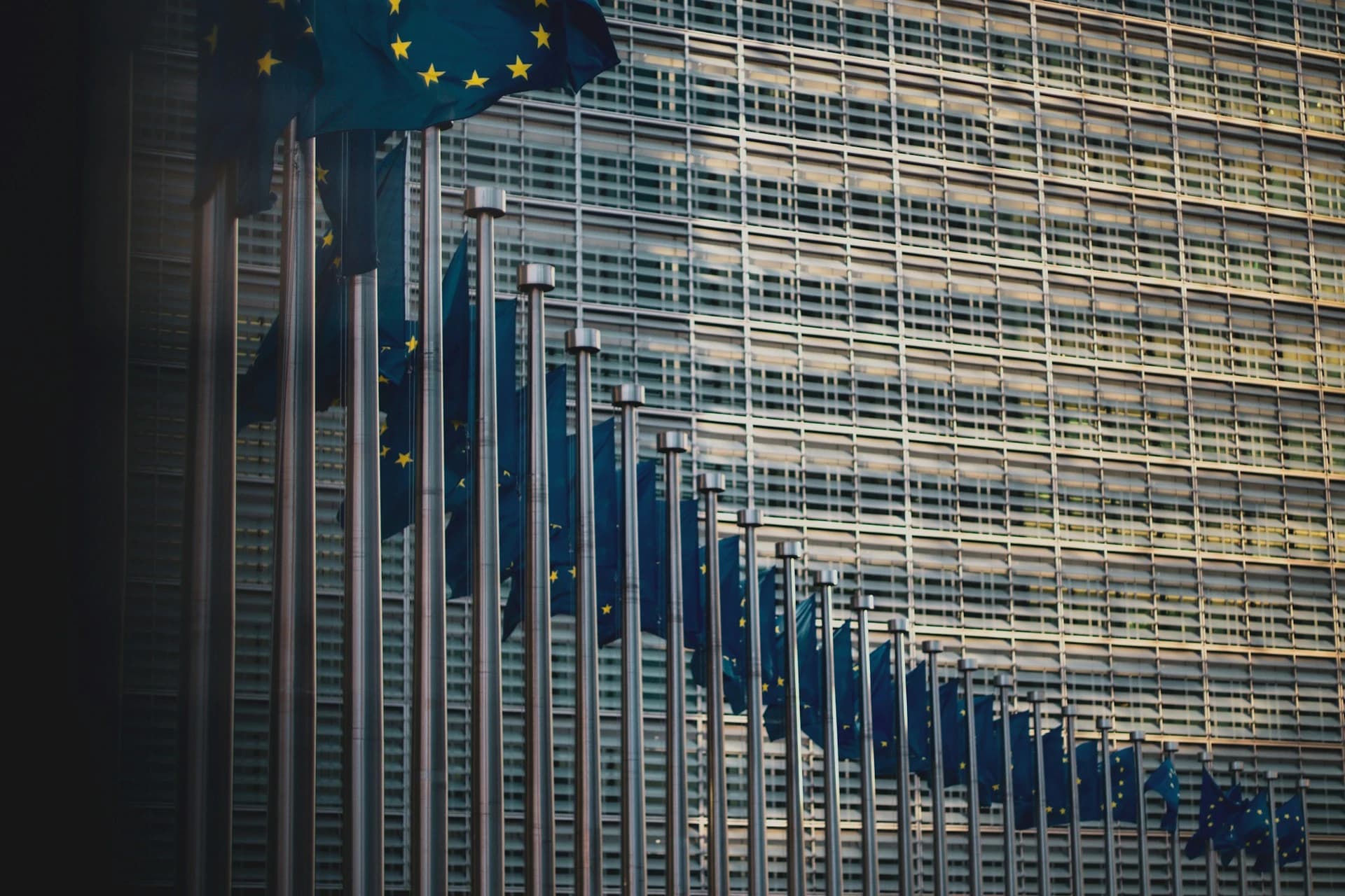 Eu flags lining up